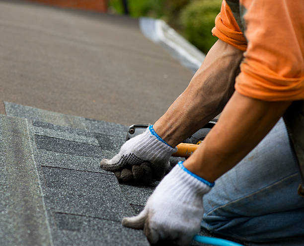 Professional Roofing Contractor in Johnson, AR