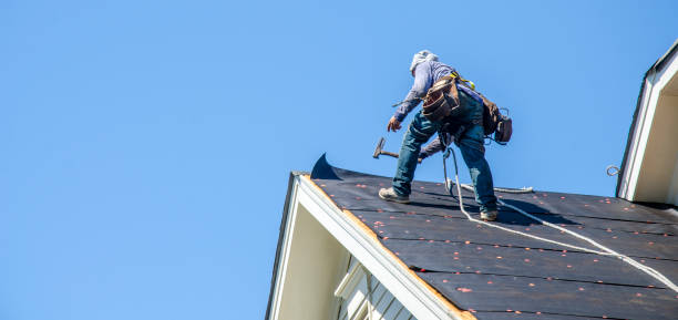 Best Storm Damage Roof Repair  in Johnson, AR
